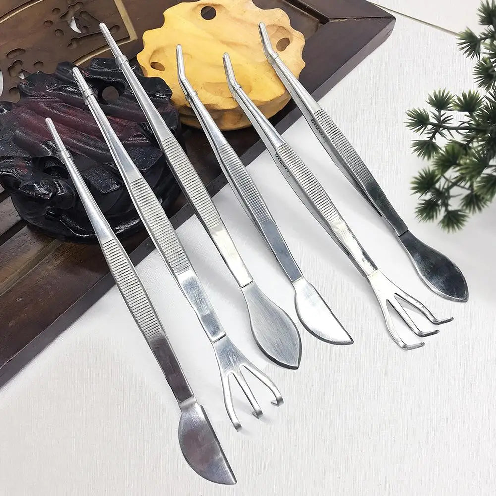 Bonsai Tool Kit 6Pcs Succulent Tools Set Mini Tweezers Rake Transplanting Garden Tools for Indoor Gardening Flower Pot Cactus