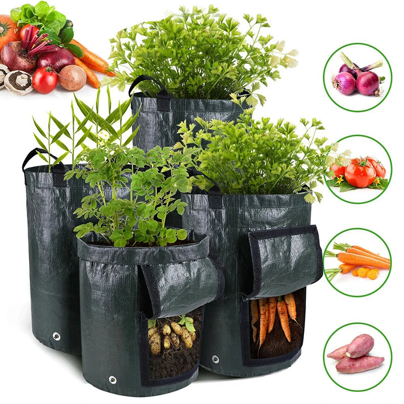 Potato Grow Bags PE Vegetable Grow Bags with Handle Thickened Vegetable Onion Plant Bag Outdoor Garden Pots 3/5/7/10 Gallon