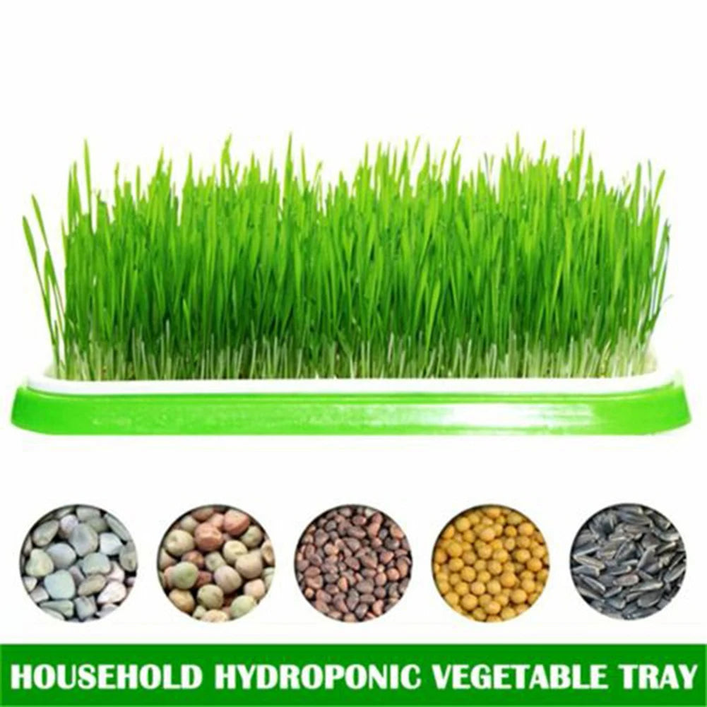 Microgreens Sprouter Tray Plant Grow Germination Pot Hydroponic Nursery Plate Garden Home Bean Sprouts Maker Nursery Potted