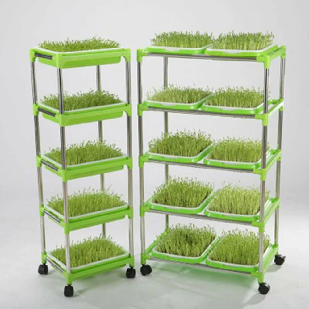 Microgreens Sprouter Tray Plant Grow Germination Pot Hydroponic Nursery Plate Garden Home Bean Sprouts Maker Nursery Potted