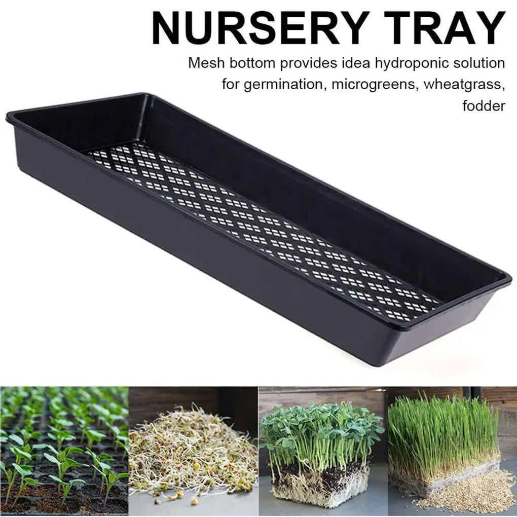 2pcs Seedling Tray Wear-resistant Mesh Bottom Seedlings Box Microgreens