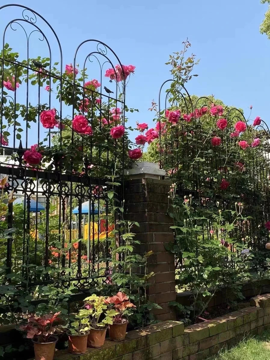 Metal Garden Fences for Climbing Veggies & Flowers