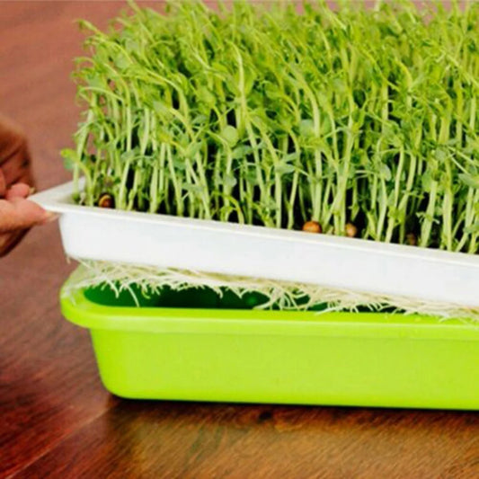 Microgreens Sprouter Tray Plant Grow Germination Pot Hydroponic Nursery Plate Garden Home Bean Sprouts Maker Nursery Potted