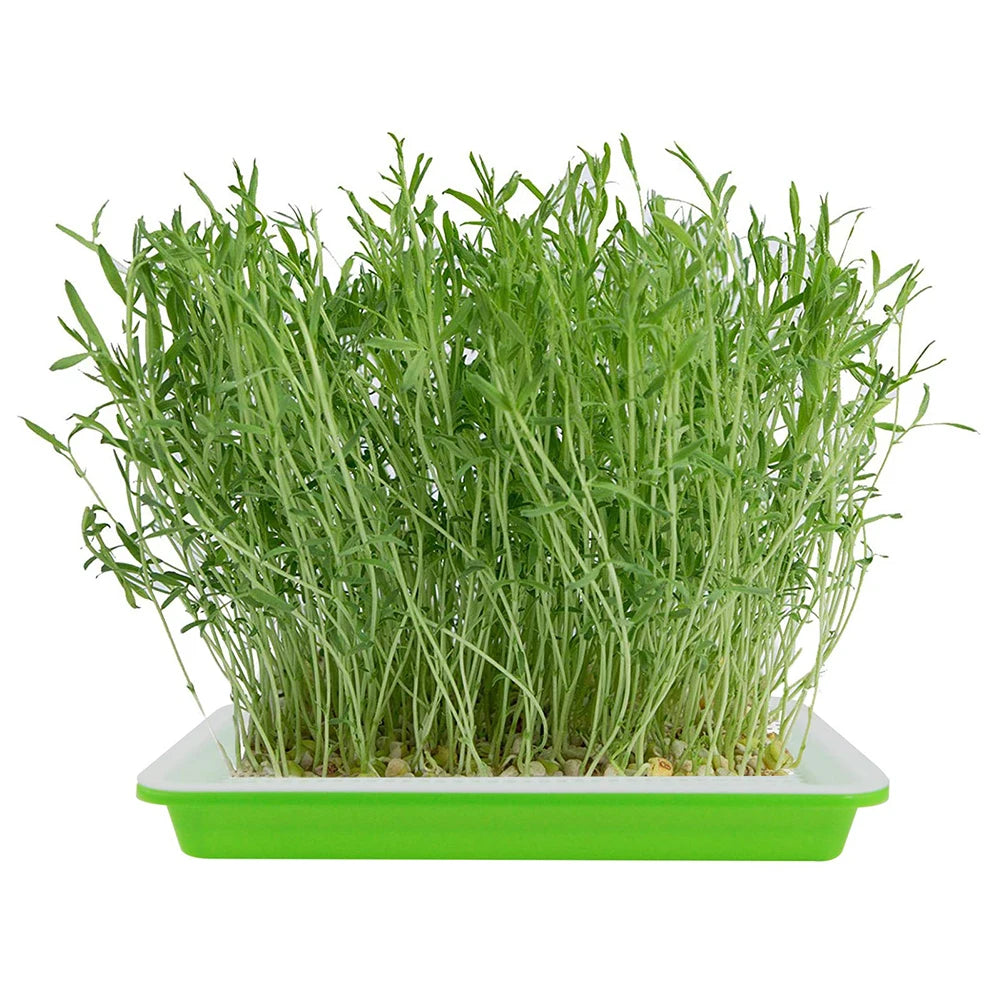 Microgreens Sprouter Tray Plant Grow Germination Pot Hydroponic Nursery Plate Garden Home Bean Sprouts Maker Nursery Potted