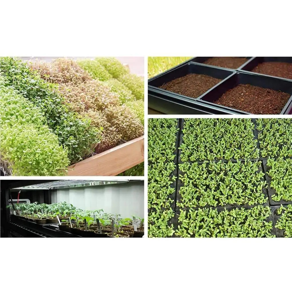 2pcs Seedling Tray Wear-resistant Mesh Bottom Seedlings Box Microgreens