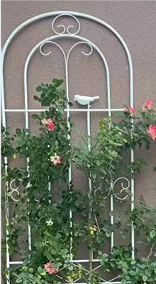 Metal Garden Fences for Climbing Veggies & Flowers