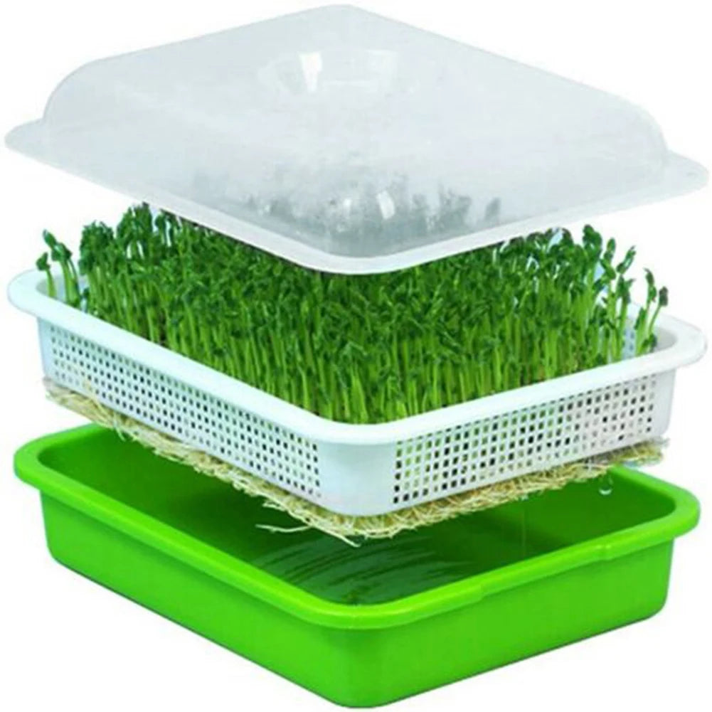 Microgreens Sprouter Tray Plant Grow Germination Pot Hydroponic Nursery Plate Garden Home Bean Sprouts Maker Nursery Potted